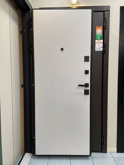 Входная дверь  